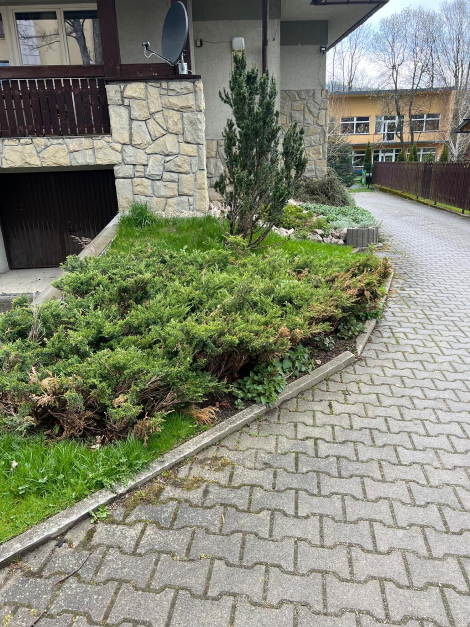 Apartament Sniezka Zakopane Exteriér fotografie